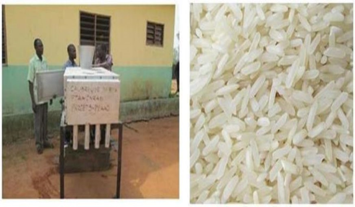 Guide pratique de production du riz blanc au Bénin : Aspect post-récolte